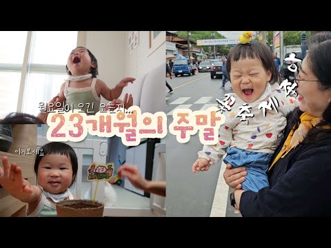 23개월 아기랑 산청꽃잔디축제💐, 아카시아봉봉장난감, 아기랑상추심기, 아기매실차, 아기식혜, 아침유아식, 김계란죽,  아기영양제추천🦖