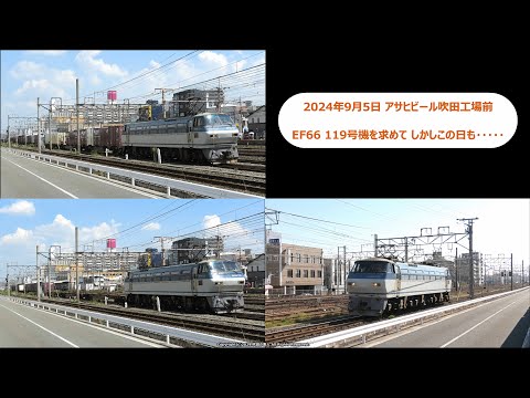 『EF66 119号機を求めて』しかしこの日も･････（R6.9.5）