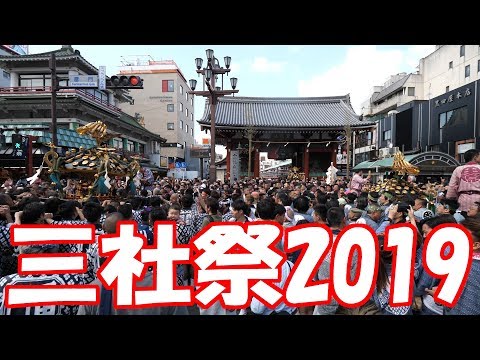 【三社祭2019】#4 大迫力!!!   2019/5/19