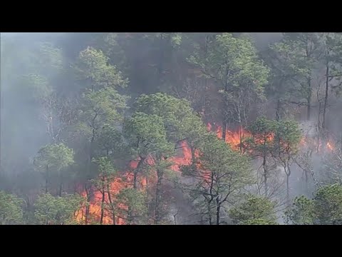 How officials are preparing for next year's fire season in New Jersey