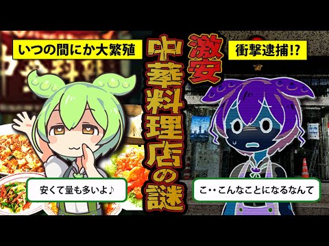 【気づけば日本に大繁殖⁉】激安中華料理店が日本で急増し続ける闇が深すぎた【ずんだもん＆ゆっくり解説】