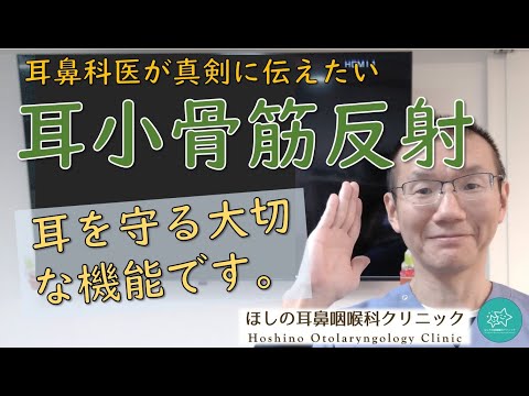 【耳のガサガサ】耳あか、髪の毛、虫がない時には、耳鼻科医はこう考えます。