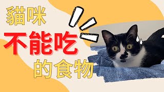 【貓咪小知識】貓咪不能吃的食物 FOODS THAT ARE TOXIC TO CATS #CAT #FOOD