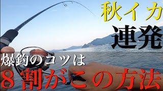 【エギング】知らないと損？たったこれだけで秋イカが爆釣する戦略！