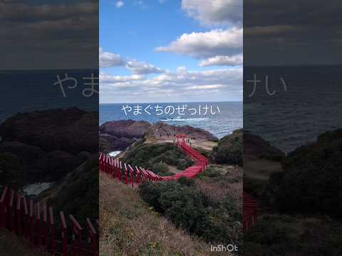 山口県の絶景【元乃隅神社】 #山口県  #神社  #絶景 #秋