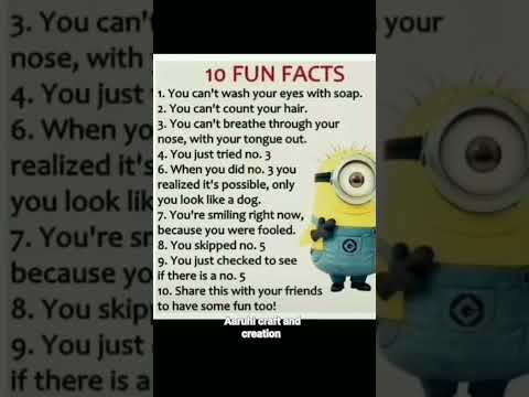 10 FUN FACTS