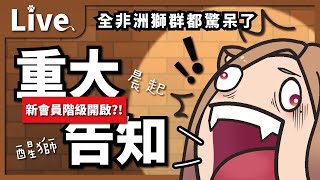 【雜談】晨起醒獅：重大告知？！新會員階級正式開啟！講完正事就來聊天～🦁