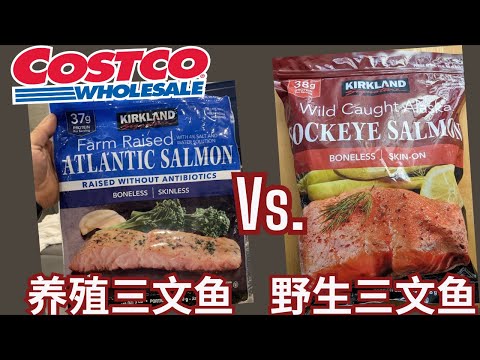 【Costco 养殖三文鱼和野生三文鱼对比】饮食结构，洄游，Omega-3和Omega-6含量，鱼肉颜色， 虾青素，营养价值【EN/中文Sub】