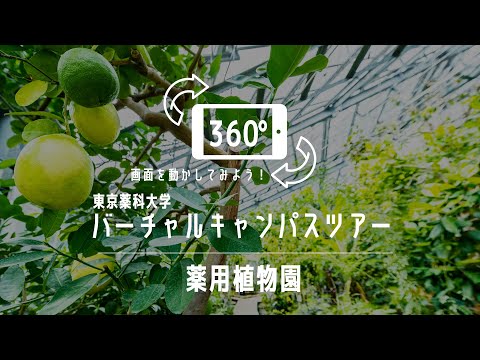 薬用植物園｜360°バーチャルキャンパスツアー｜東京薬科大学