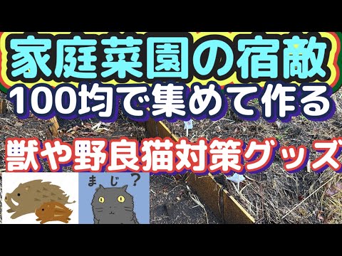 【楽しい家庭菜園獣対策】【300円で畑を守る作り方を教えます！】【野良猫対策もあり】