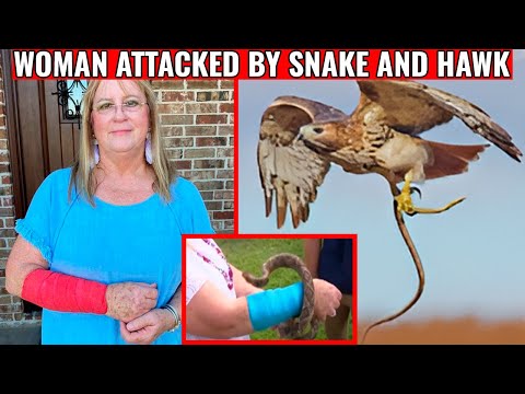 Wild Animal Attacks You Won’t Believe