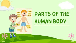 Body parts name #kids #kidsvideo #bodypartsnameforkids #bodypartsforkids