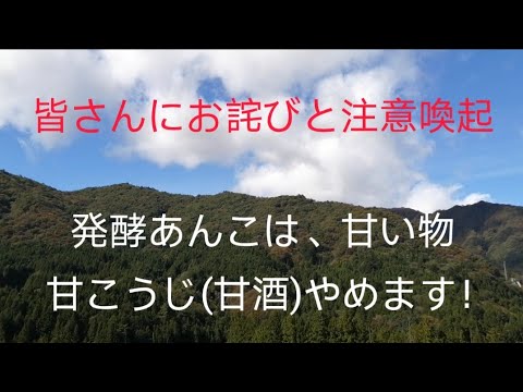 発酵あんこと、甘こうじは、甘い物。塩あんこはオッケーだと思います！