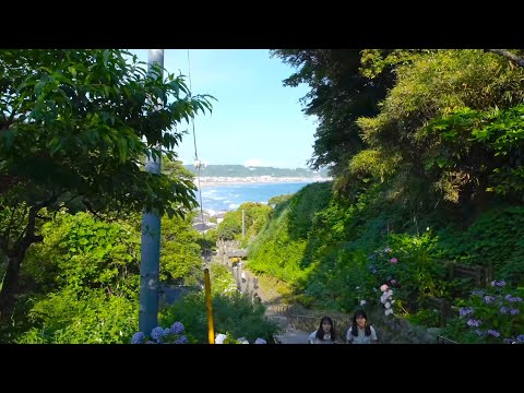 Walking in Kamakura, Temple on a hill overlooking the sea.