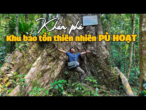 Explore Pu Hoat Nature Reserve, Que Phong, Nghe An