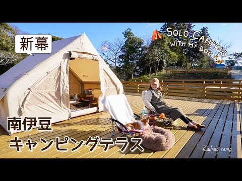 【50代女子ソロキャンプ】絶景オーシャンビューと新幕エアーテント ｜南伊豆キャンピングテラス｜ Solo camping with my dog, Vlog［36］