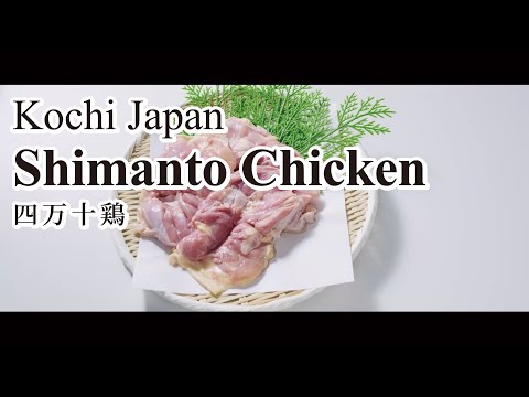 Shimanto Chicken