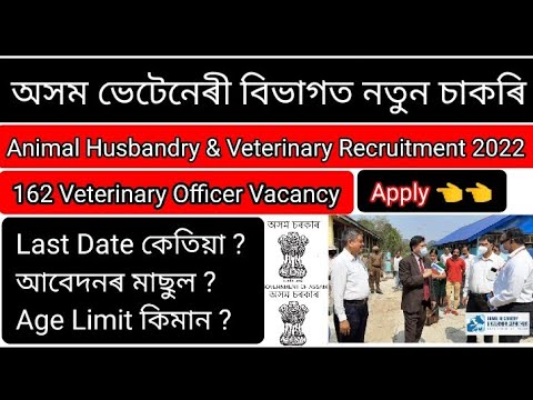 Animal Husbandry & Veterinary Recruitment 2022 Assam || 162 Veterinary Officer Vacancy Apply Online