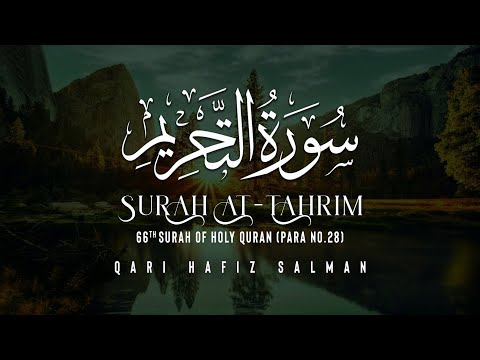 Surah At Tahrim I Qari Hafiz Salman | Arabic Recitation | 66th Surah of the Quran