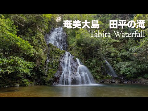 奄美大島　田平の滝 【Tabira Waterfall】