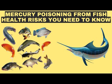 No-Go Fish: Species That Could Harm Your Health | Mercury Alert: Safeguarding Your Health