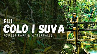 Colo I Suva - Forest Park & Waterfalls | Fiji