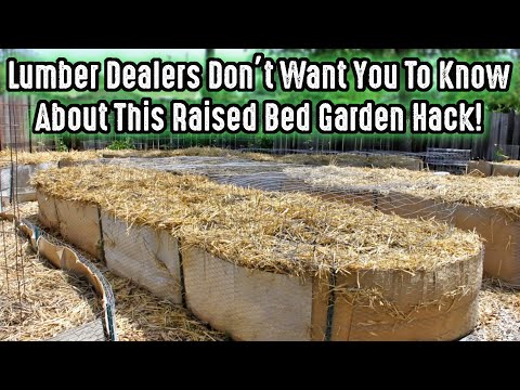 Lumber Dealers Don't Want You To Know About This Raised Bed Garden Hack!