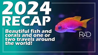 A YEAR FULL OF LEARNING AND NEW OPPORTUNITIES. THIS IS THE 2024 RECAP AT REEF AQUARIA DESIGN.