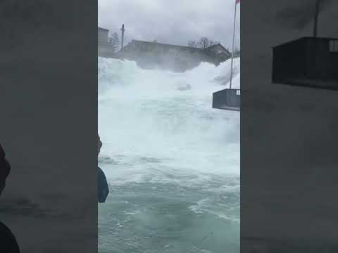 Boat trip spend the Rhine Falls!