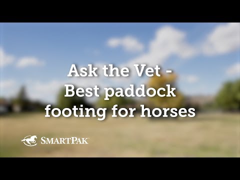 Ask the Vet - Best paddock footing for horses