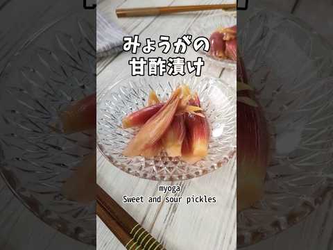 作り置きにおすすめ！さっぱり味がおいしい！みょうがの甘酢漬けレシピ #shorts