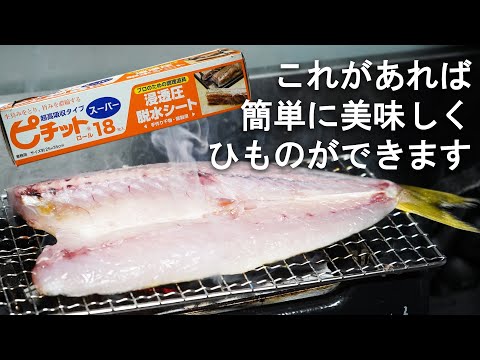 簡単！自家製干物づくり！カマスの干物を作ってみた