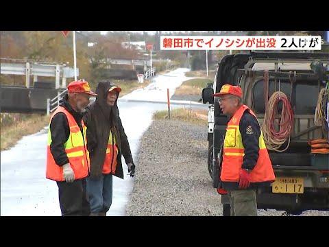 「気をつけたい、怖い」イノシシに襲われ高齢女性2人けが 警察と市、猟友会が捜索 JR磐田駅近くの住宅街=静岡