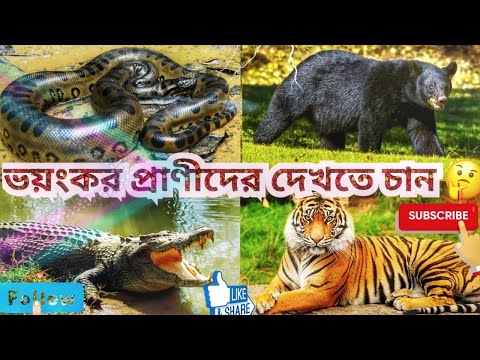 শহরের কাছে এক জায়গাতে দুই ধরনের অভিজ্ঞতা l 2 In 1 Combo Explore Wild Animal Life .