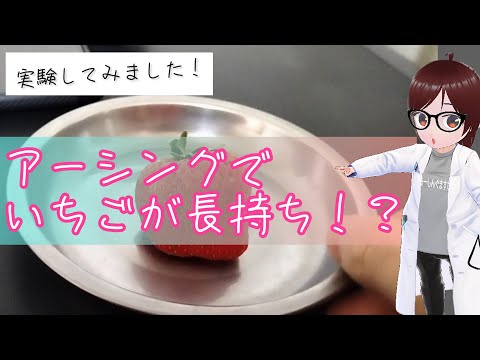 アースすることで冷蔵庫の食材の鮮度は保てるか？【いちご編】