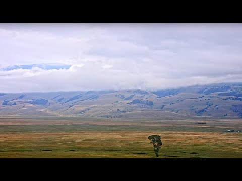 National Museum of Wildlife Art - Live Elk Refuge