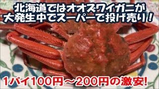 【北海道オオズワイガニが大量発生】スーパーで100～200円で投げ売りされているので食べてみた 青森産のクリガニも半額に! Hokkaido Crab food, Japan