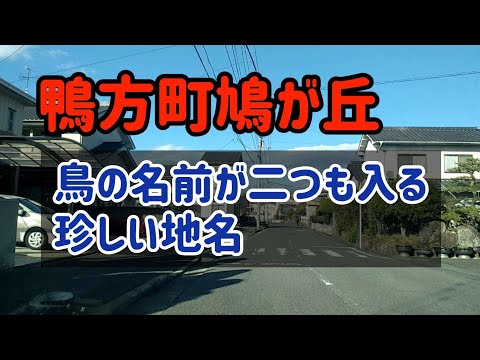 【浅口】鴨方町鳩が丘を走行しました