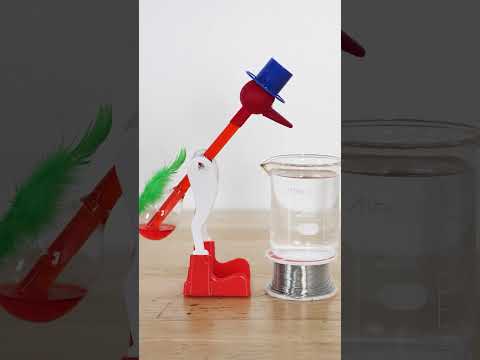 The Drinking Bird Drinks Faster