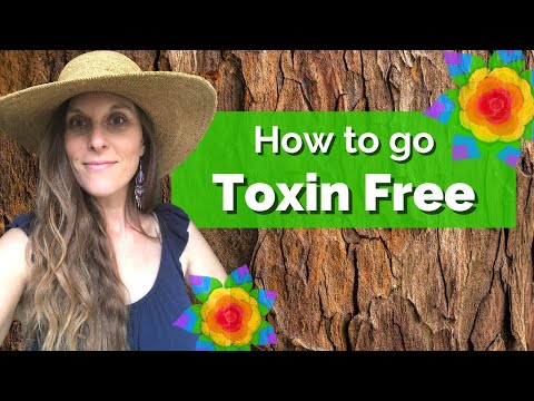 Non-Toxic Living - How to get started