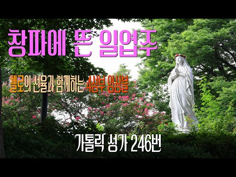 [가톨릭 성가 246번] 창파에 뜬 일엽주 / 칸디도 보칼레, 첼리스트 임은열 안나 /첼로의 선율과 함께하는 4성부 앙상블 / 성모 / SATB 앙상블 / Catholic Hymn