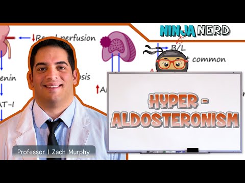 Hyperaldosteronism | Clinical Medicine