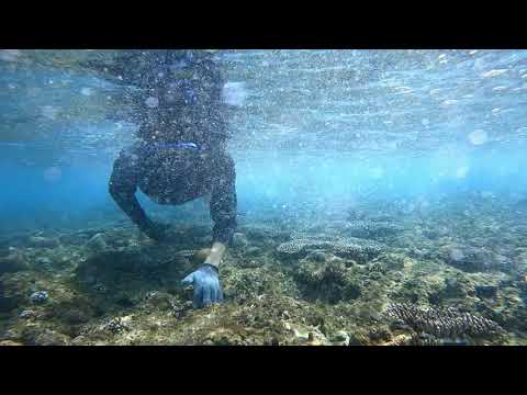 石垣島米原ビーチ - 青の洞窟前アウトリーフ