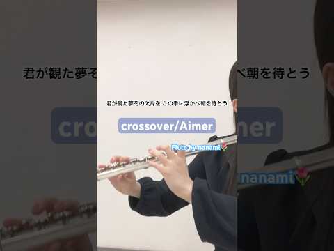 crossovers/Aimer【演奏してみた】【フルート】