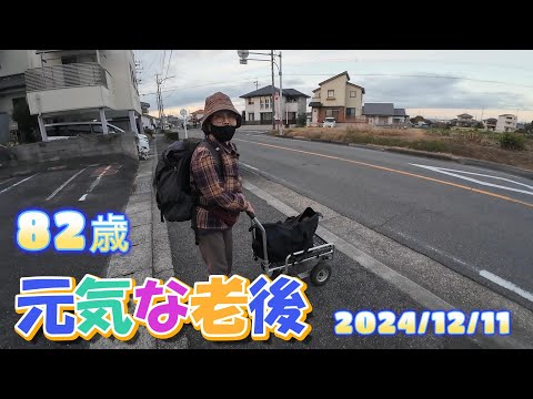 【82歳の老後生活】あれ？いない！今日はあそこかぁ～　#382