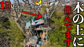 【1日見てもいいですか？】木の上で暮らすホームレスに1日密着してみた！