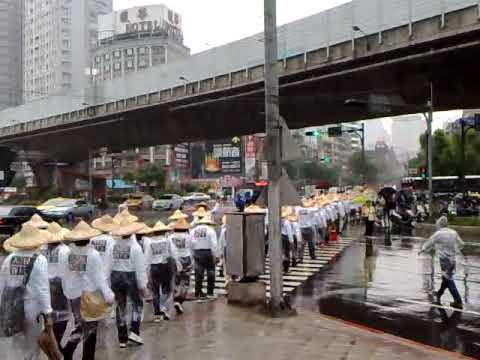 人民作主苦行志工10日的雨中背影(板橋)