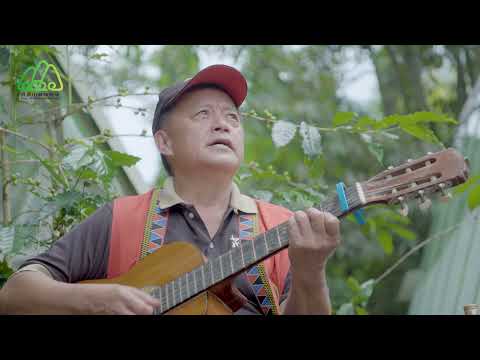 【maezo生活 阿里山的饗宴】塔山下的山豬音樂派對