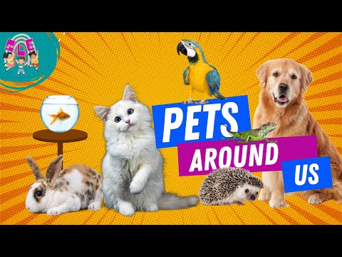 Get to Know the Pets Names Around Us | Educational Video for Kids, Toddler and Pre-school Children