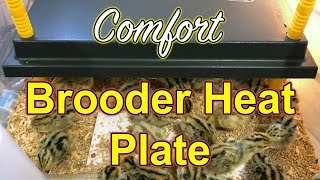 "Comfort" Brooder Heat Plate - for rearing Coturnix chicks